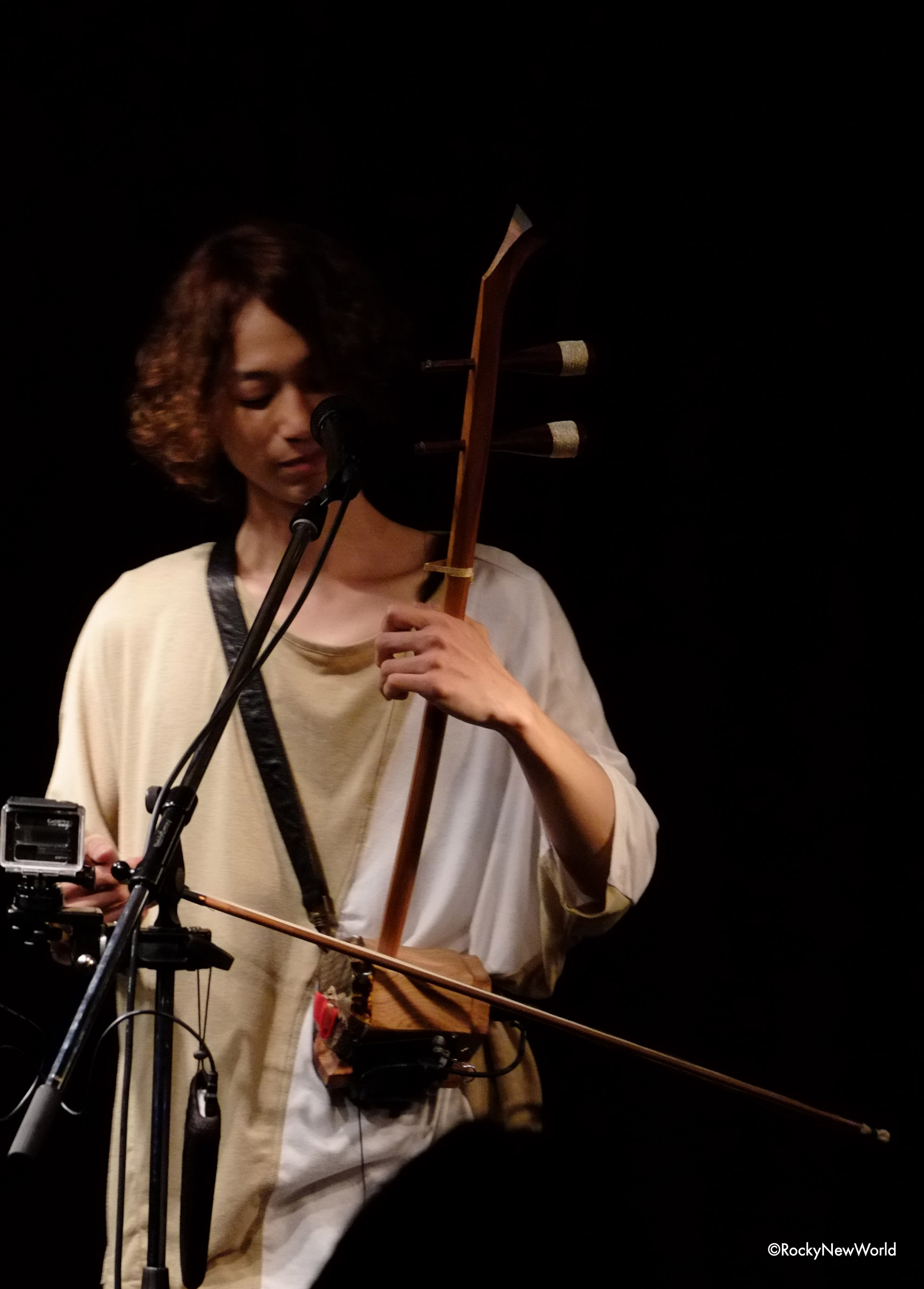 ウッドデザイン賞 受賞作品データベース | 頼朝杉製二胡「和胡」 2015